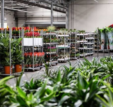Sierteelthal met planten en logistieke karren